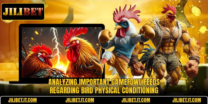 Analyzing important gamefowl feeds regarding bird physical conditioning