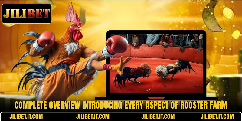 Complete overview introducing every aspect of Rooster Farm