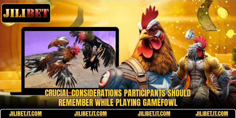 Crucial considerations participants should remember while playing Gamefowl