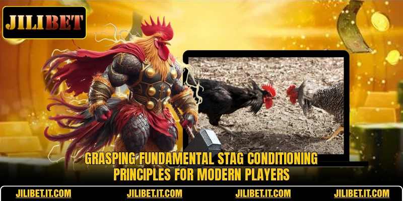 Grasping fundamental stag conditioning principles for modern players