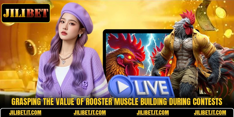 Grasping the value of rooster muscle building during contests
